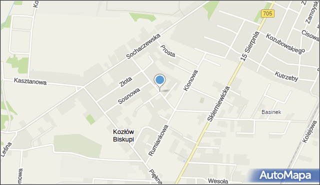 Kozłów Biskupi, Olimpijska, mapa Kozłów Biskupi