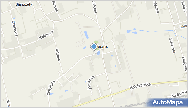 Olszyna gmina Ustronie Morskie, Olszyna, mapa Olszyna gmina Ustronie Morskie