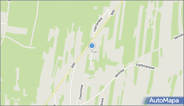 Brzeziny, Orląt Lwowskich, mapa Brzeziny