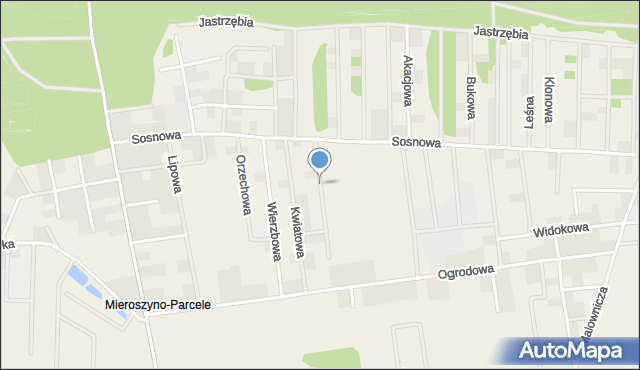 Mieroszyno, Orchidei, mapa Mieroszyno