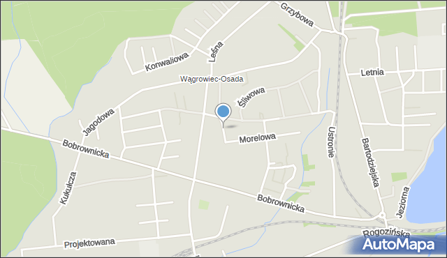 Wągrowiec, Orzechowa, mapa Wągrowiec