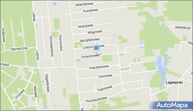 Zgierz, Orzechowa, mapa Zgierz