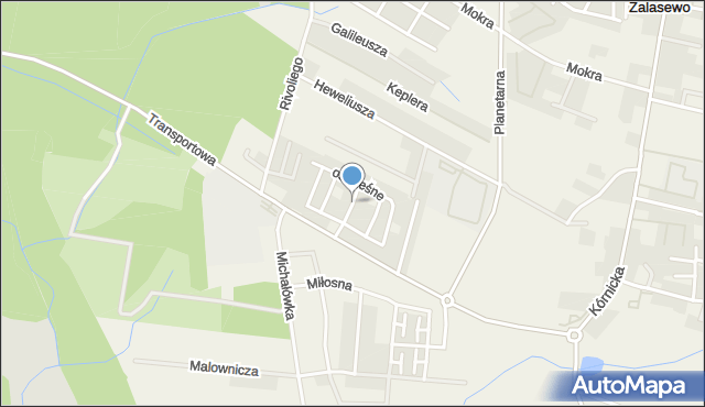 Zalasewo, Osiedle Leśne, mapa Zalasewo