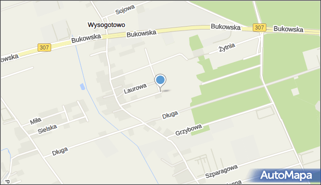 Wysogotowo, Owsiana, mapa Wysogotowo