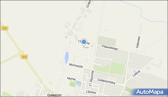 Gołaszyn gmina Bojanowo, Paderewskiego Ignacego Jana, mapa Gołaszyn gmina Bojanowo