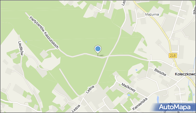 Koleczkowo, Partyzantów Kaszubskich, mapa Koleczkowo