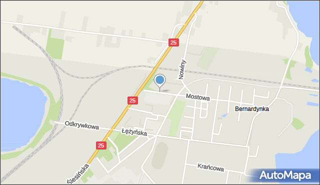 Konin, Palenickiego Bogusława, ks., mapa Konina