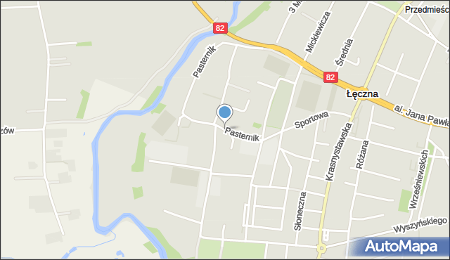 Łęczna, Pasternik, mapa Łęczna