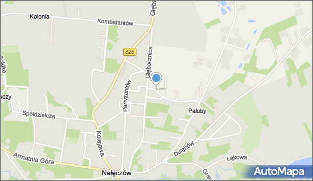 Nałęczów powiat puławski, Pałuby, mapa Nałęczów powiat puławski