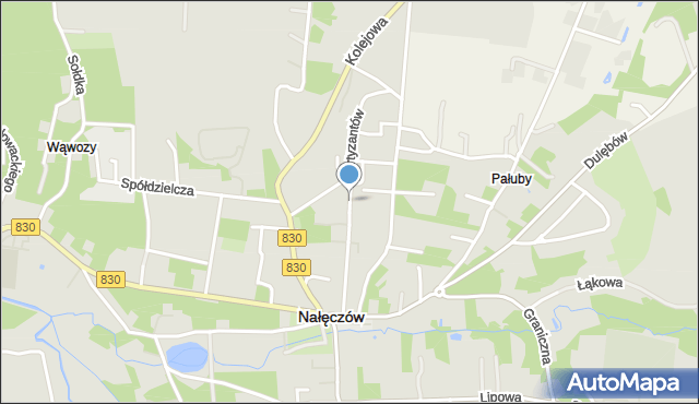Nałęczów powiat puławski, Partyzantów, mapa Nałęczów powiat puławski