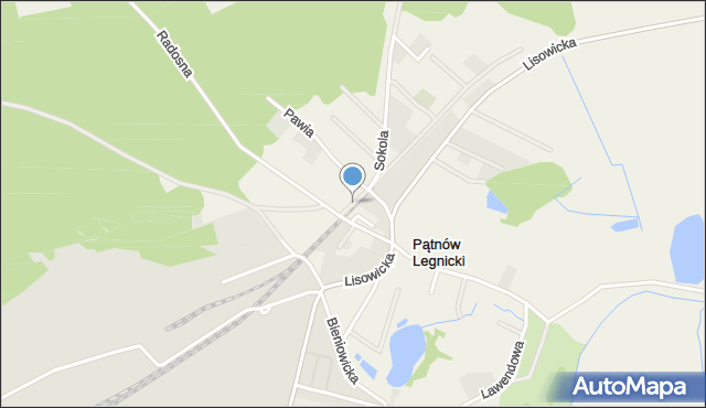 Pątnów Legnicki, Pątnów Legnicki, mapa Pątnów Legnicki
