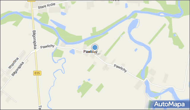 Pawlichy, Pawlichy, mapa Pawlichy