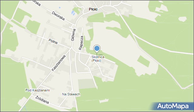 Płoki gmina Trzebinia, Pasieczna, mapa Płoki gmina Trzebinia