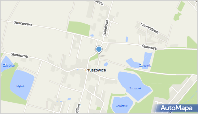 Pruszowice, Parkowa, mapa Pruszowice