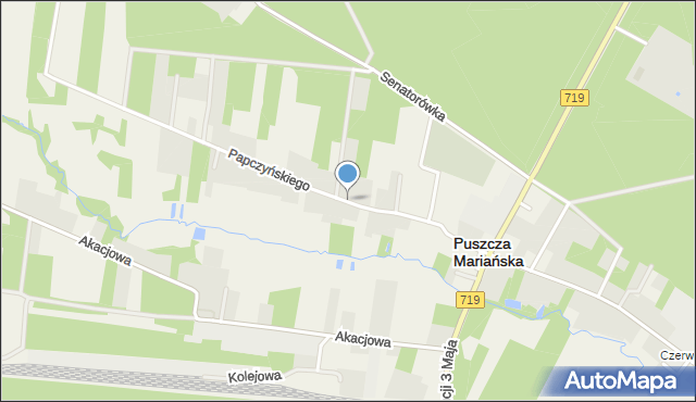 Puszcza Mariańska, Papczyńskiego Stanisława, mapa Puszcza Mariańska