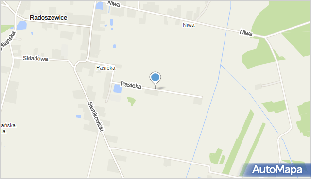 Radoszewice gmina Siemkowice, Pasieka, mapa Radoszewice gmina Siemkowice