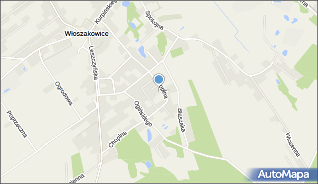 Włoszakowice, Paderewskiego Ignacego Jana, mapa Włoszakowice