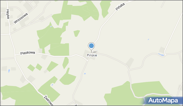 Bieszkowice, Pińska, mapa Bieszkowice