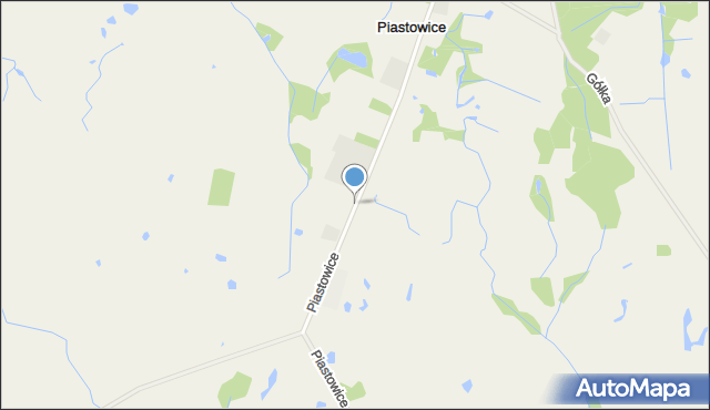 Piastowice gmina Mieścisko, Piastowice, mapa Piastowice gmina Mieścisko