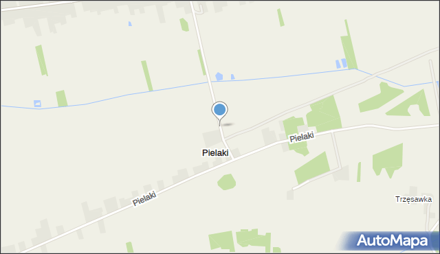 Pielaki gmina Mniów, Pielaki, mapa Pielaki gmina Mniów