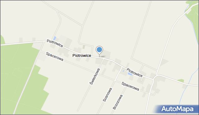 Piotrowice gmina Święciechowa, Piotrowice, mapa Piotrowice gmina Święciechowa