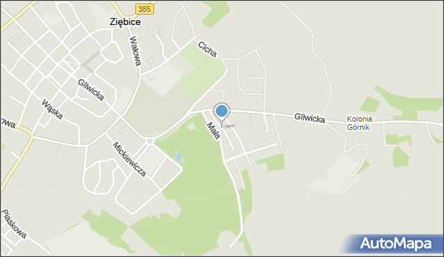 Ziębice, Piastowska, mapa Ziębice