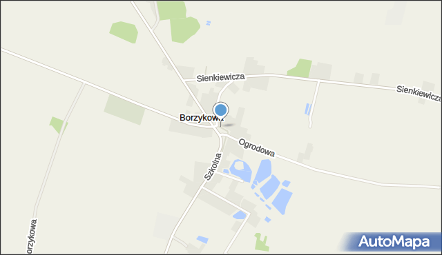 Borzykowa gmina Żytno, Plac 1000-lecia, mapa Borzykowa gmina Żytno