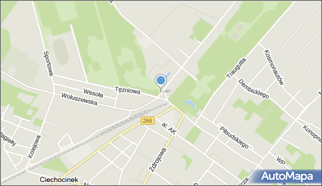 Ciechocinek, Plac Gdański, mapa Ciechocinek