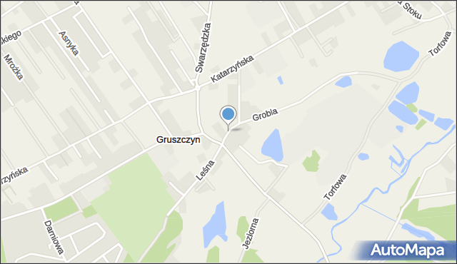 Gruszczyn gmina Swarzędz, Plac Gruszczyński, mapa Gruszczyn gmina Swarzędz
