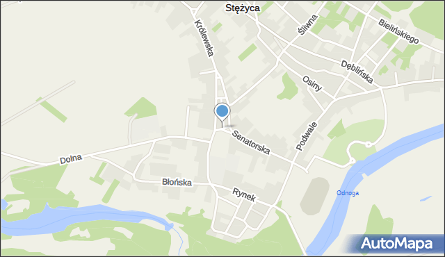 Stężyca powiat rycki, Plac Senatorski, mapa Stężyca powiat rycki