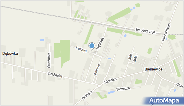 Bieniewice, Polowa, mapa Bieniewice