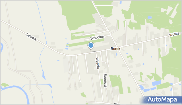 Borek gmina Godziesze Wielkie, Pogodna, mapa Borek gmina Godziesze Wielkie