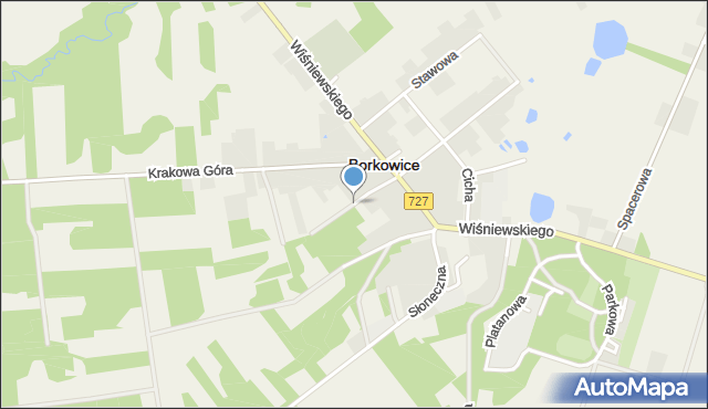 Borkowice powiat przysuski, Polna, mapa Borkowice powiat przysuski