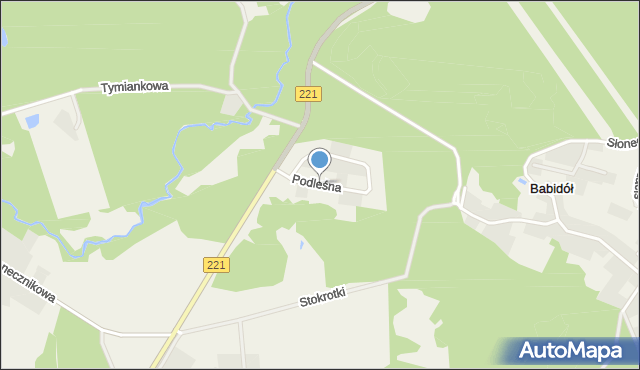 Czapielsk, Podleśna, mapa Czapielsk