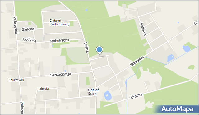 Dobroń, Podleśna, mapa Dobroń