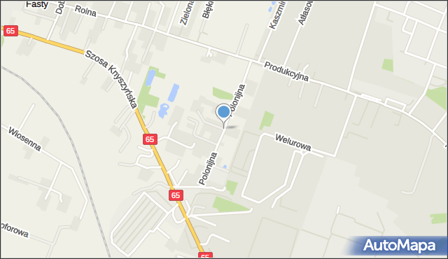 Fasty, Polonijna, mapa Fasty