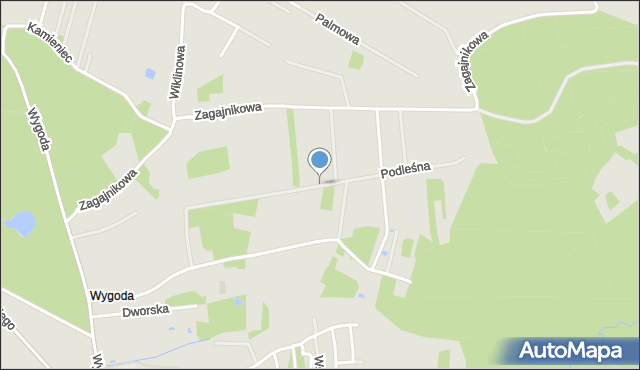 Głogów Małopolski, Podleśna, mapa Głogów Małopolski