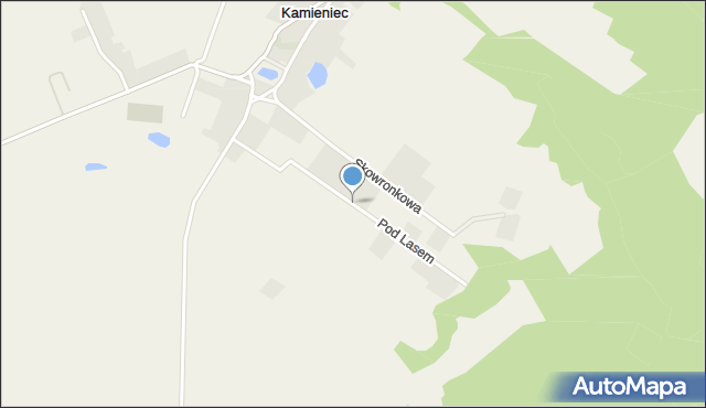 Kamieniec gmina Kołbaskowo, Pod Lasem, mapa Kamieniec gmina Kołbaskowo