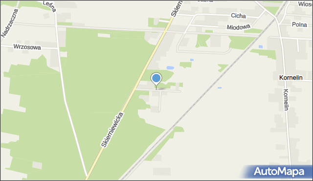 Kozłów Biskupi, Podleśna, mapa Kozłów Biskupi