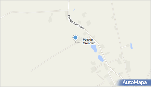 Polskie Gronowo, Polskie Gronowo, mapa Polskie Gronowo