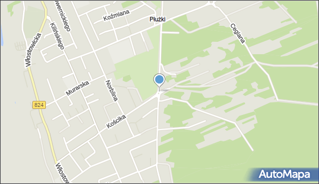 Puławy, Powstańców Listopadowych, mapa Puław