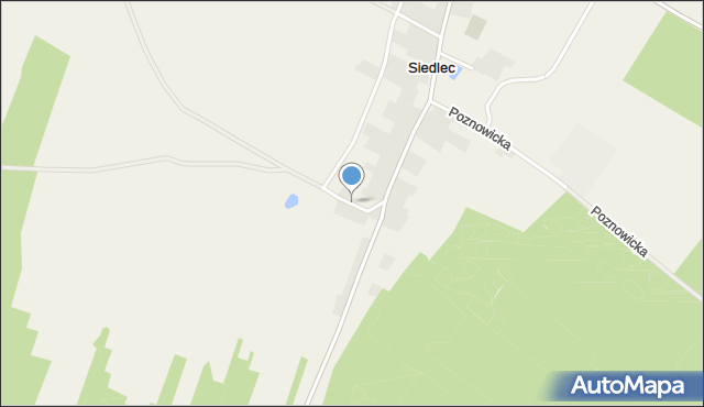 Siedlec gmina Izbicko, Polna, mapa Siedlec gmina Izbicko