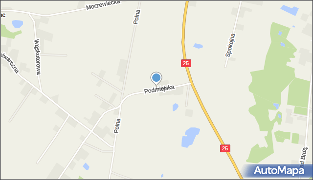 Tryszczyn, Podmiejska, mapa Tryszczyn