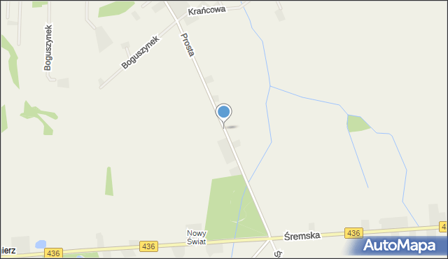 Boguszyn gmina Nowe Miasto nad Wartą, Prosta, mapa Boguszyn gmina Nowe Miasto nad Wartą