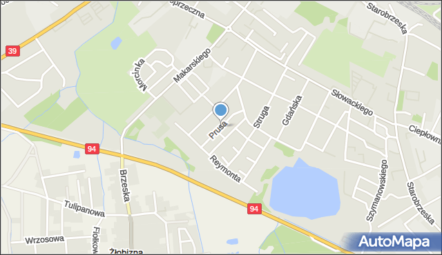 Brzeg, Prusa, mapa Brzeg