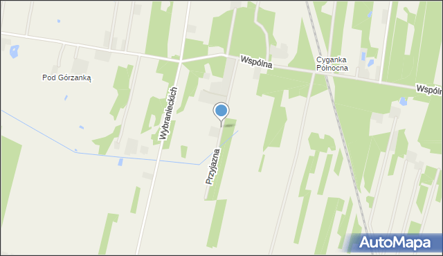 Cyganka gmina Dębe Wielkie, Przyjazna, mapa Cyganka gmina Dębe Wielkie