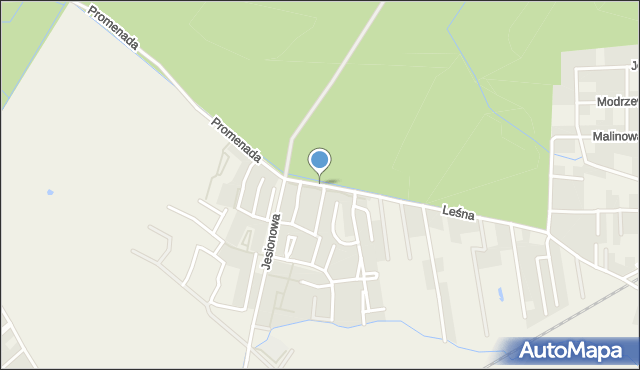 Dopiewiec, Promenada, mapa Dopiewiec