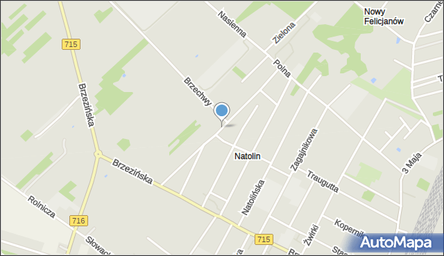 Koluszki, Próchnika Adama, mapa Koluszki