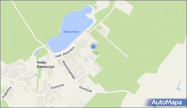 Nowy Barkoczyn, Przy Lesie, mapa Nowy Barkoczyn