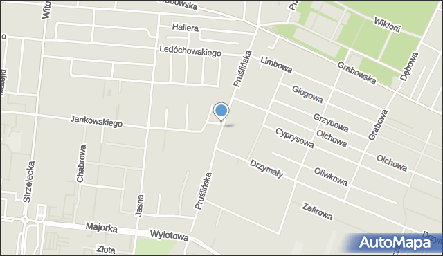 Ostrów Wielkopolski, Pruślińska, mapa Ostrów Wielkopolski